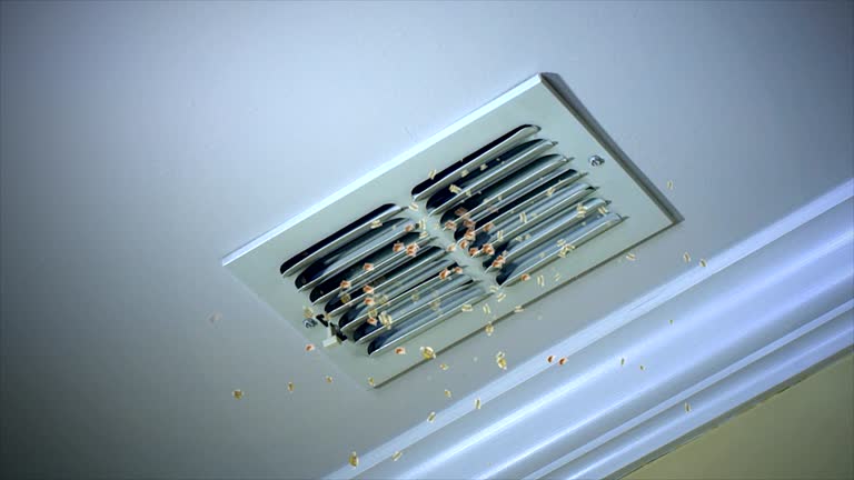 Best Air Duct Mold Removal  in Hideo, UT