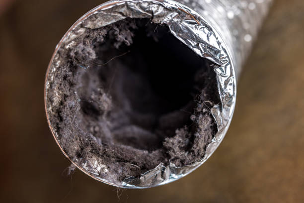 Best Air Duct Sanitizing Services  in Hideo, UT